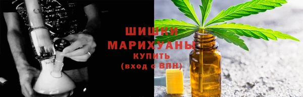 гашик Богданович